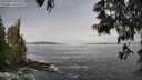./images/koeye/fitz-hugh/20250605/fitz-hugh20250605_091511M.jpg