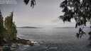 ./images/koeye/fitz-hugh/20250605/fitz-hugh20250605_092510M.jpg