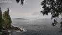 ./images/koeye/fitz-hugh/20250605/fitz-hugh20250605_093011M.jpg