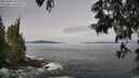 ./images/koeye/fitz-hugh/20250605/fitz-hugh20250605_093510M.jpg