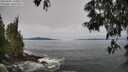 ./images/koeye/fitz-hugh/20250605/fitz-hugh20250605_100012M.jpg