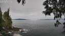 ./images/koeye/fitz-hugh/20250605/fitz-hugh20250605_100510M.jpg