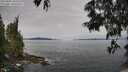 ./images/koeye/fitz-hugh/20250605/fitz-hugh20250605_101010M.jpg