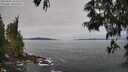 ./images/koeye/fitz-hugh/20250605/fitz-hugh20250605_102510M.jpg