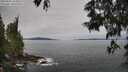 ./images/koeye/fitz-hugh/20250605/fitz-hugh20250605_103011M.jpg