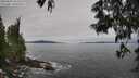 ./images/koeye/fitz-hugh/20250605/fitz-hugh20250605_103510M.jpg
