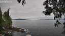 ./images/koeye/fitz-hugh/20250605/fitz-hugh20250605_105011M.jpg