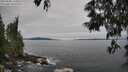 ./images/koeye/fitz-hugh/20250605/fitz-hugh20250605_110012M.jpg