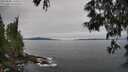 ./images/koeye/fitz-hugh/20250605/fitz-hugh20250605_110510M.jpg