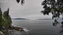 ./images/koeye/fitz-hugh/20250605/fitz-hugh20250605_111009M.jpg