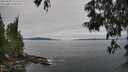 ./images/koeye/fitz-hugh/20250605/fitz-hugh20250605_111510M.jpg