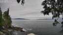./images/koeye/fitz-hugh/20250605/fitz-hugh20250605_112011M.jpg