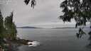 ./images/koeye/fitz-hugh/20250605/fitz-hugh20250605_112510M.jpg