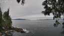 ./images/koeye/fitz-hugh/20250605/fitz-hugh20250605_113012M.jpg