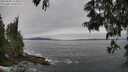 ./images/koeye/fitz-hugh/20250605/fitz-hugh20250605_113509M.jpg