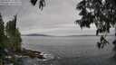 ./images/koeye/fitz-hugh/20250605/fitz-hugh20250605_114509M.jpg