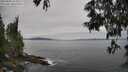 ./images/koeye/fitz-hugh/20250605/fitz-hugh20250605_115509M.jpg
