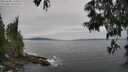 ./images/koeye/fitz-hugh/20250605/fitz-hugh20250605_120010M.jpg