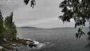 ./images/koeye/fitz-hugh/20250605/fitz-hugh20250605_120509M.jpg