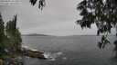 ./images/koeye/fitz-hugh/20250605/fitz-hugh20250605_121507M.jpg