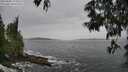 ./images/koeye/fitz-hugh/20250605/fitz-hugh20250605_123509M.jpg