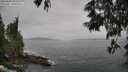 ./images/koeye/fitz-hugh/20250605/fitz-hugh20250605_125510M.jpg