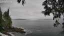 ./images/koeye/fitz-hugh/20250605/fitz-hugh20250605_131511M.jpg