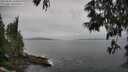 ./images/koeye/fitz-hugh/20250605/fitz-hugh20250605_132011M.jpg
