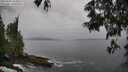./images/koeye/fitz-hugh/20250605/fitz-hugh20250605_134010M.jpg