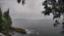 ./images/koeye/fitz-hugh/20250605/fitz-hugh20250605_135011M.jpg