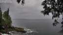 ./images/koeye/fitz-hugh/20250605/fitz-hugh20250605_135508M.jpg
