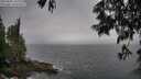 ./images/koeye/fitz-hugh/20250605/fitz-hugh20250605_142510M.jpg