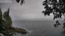 ./images/koeye/fitz-hugh/20250605/fitz-hugh20250605_143010M.jpg