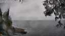 ./images/koeye/fitz-hugh/20250605/fitz-hugh20250605_144011M.jpg