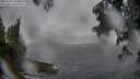 ./images/koeye/fitz-hugh/20250605/fitz-hugh20250605_153011M.jpg