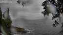 ./images/koeye/fitz-hugh/20250605/fitz-hugh20250605_155510M.jpg