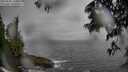 ./images/koeye/fitz-hugh/20250605/fitz-hugh20250605_160012M.jpg