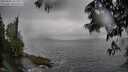 ./images/koeye/fitz-hugh/20250605/fitz-hugh20250605_161511M.jpg
