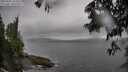 ./images/koeye/fitz-hugh/20250605/fitz-hugh20250605_162011M.jpg