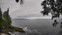 ./images/koeye/fitz-hugh/20250605/fitz-hugh20250605_165509M.jpg