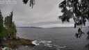 ./images/koeye/fitz-hugh/20250605/fitz-hugh20250605_170011M.jpg