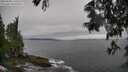 ./images/koeye/fitz-hugh/20250605/fitz-hugh20250605_170510M.jpg