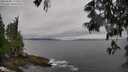 ./images/koeye/fitz-hugh/20250605/fitz-hugh20250605_171011M.jpg