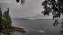 ./images/koeye/fitz-hugh/20250605/fitz-hugh20250605_171511M.jpg