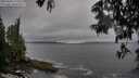 ./images/koeye/fitz-hugh/20250605/fitz-hugh20250605_172510M.jpg