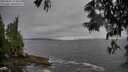 ./images/koeye/fitz-hugh/20250605/fitz-hugh20250605_173011M.jpg