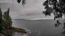 ./images/koeye/fitz-hugh/20250605/fitz-hugh20250605_173510M.jpg