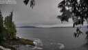 ./images/koeye/fitz-hugh/20250605/fitz-hugh20250605_174510M.jpg