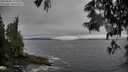 ./images/koeye/fitz-hugh/20250605/fitz-hugh20250605_175010M.jpg