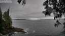 ./images/koeye/fitz-hugh/20250605/fitz-hugh20250605_175509M.jpg